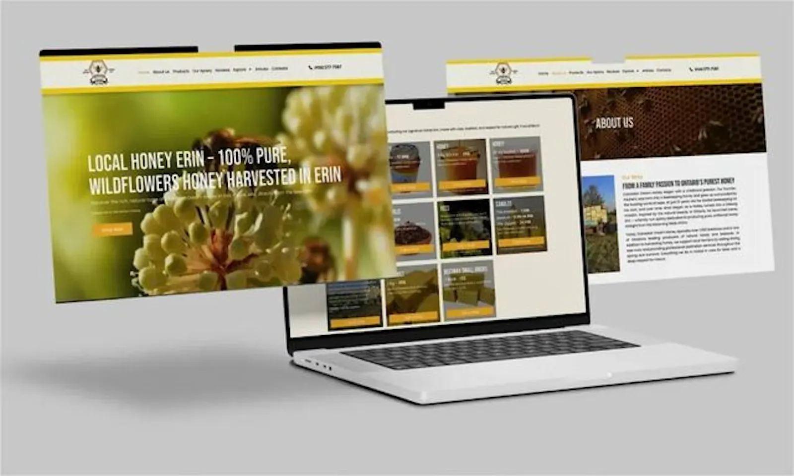 Lead Web Studio screenshot 12