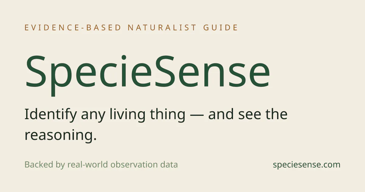 SpecieSense gallery image