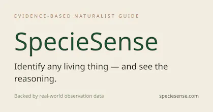 SpecieSense gallery image