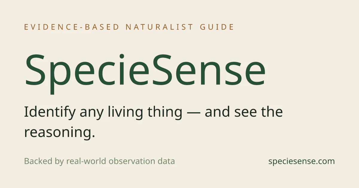 SpecieSense 截图