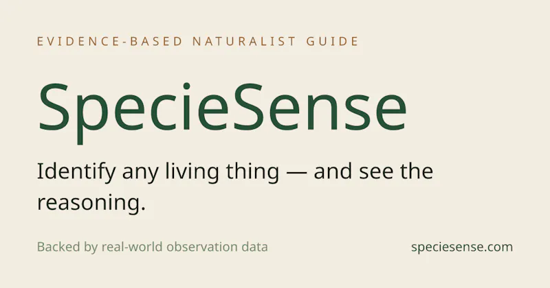 SpecieSense screenshot 1