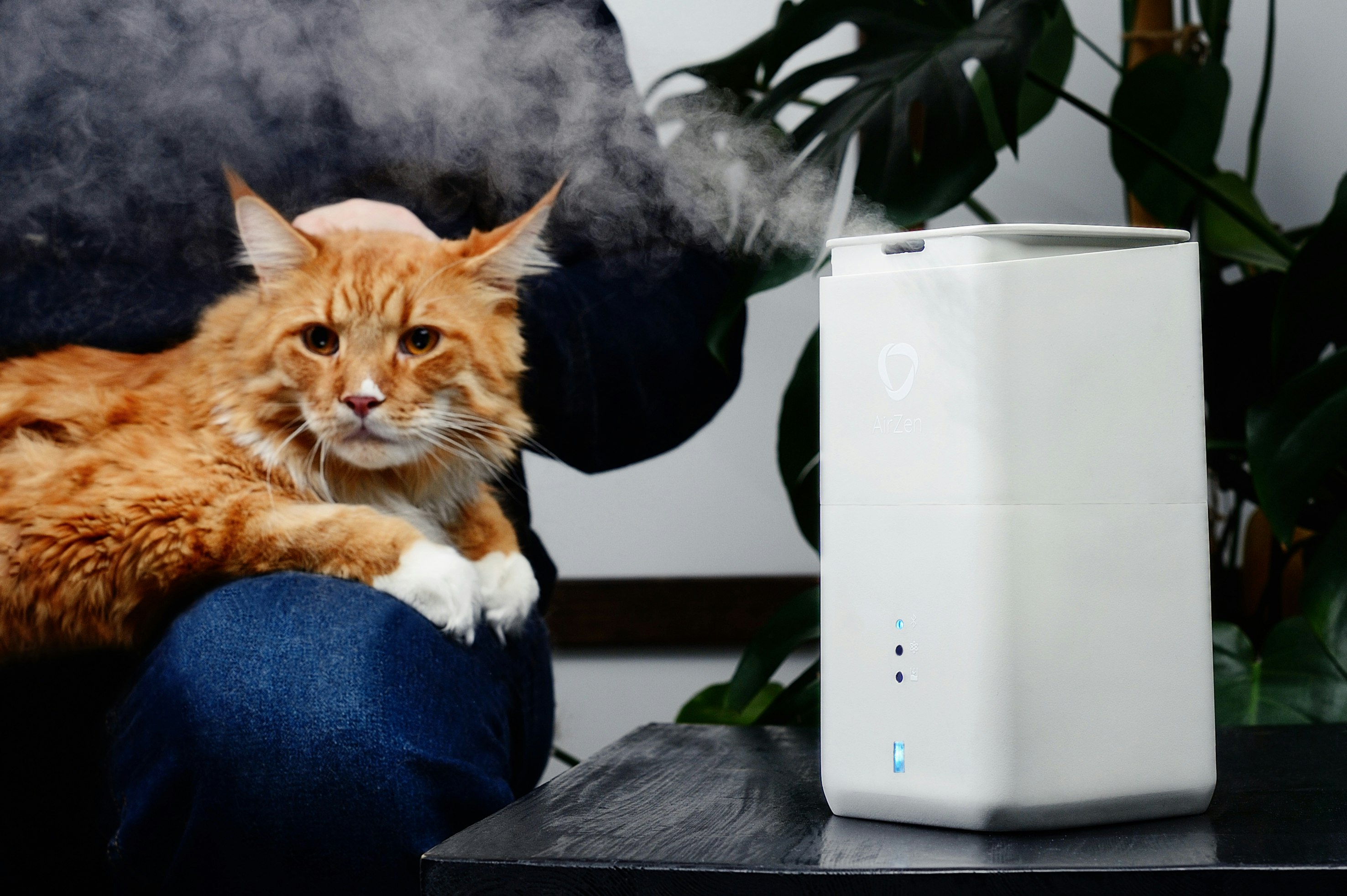 AirZen gallery image