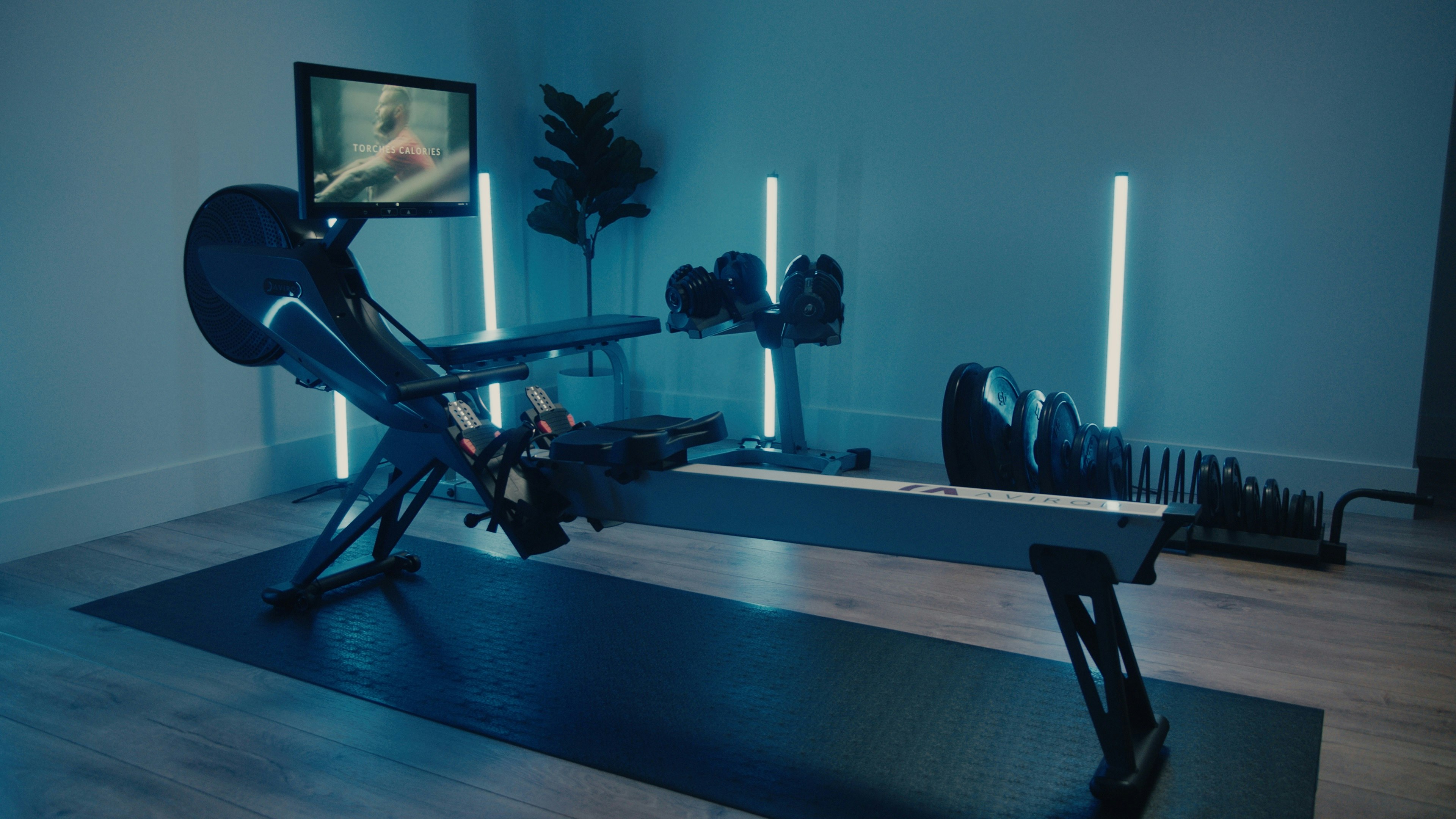 Aviron Interactive Rower gallery image