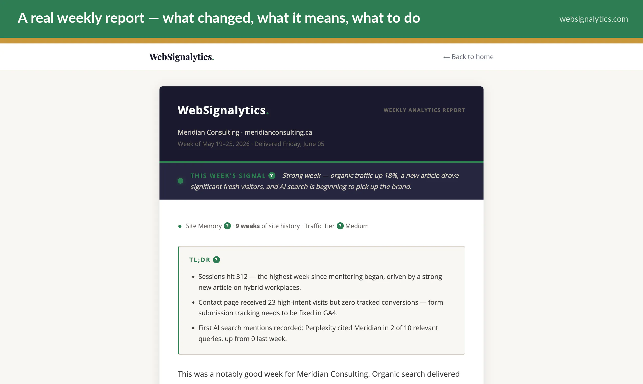 Websignalytics gallery image