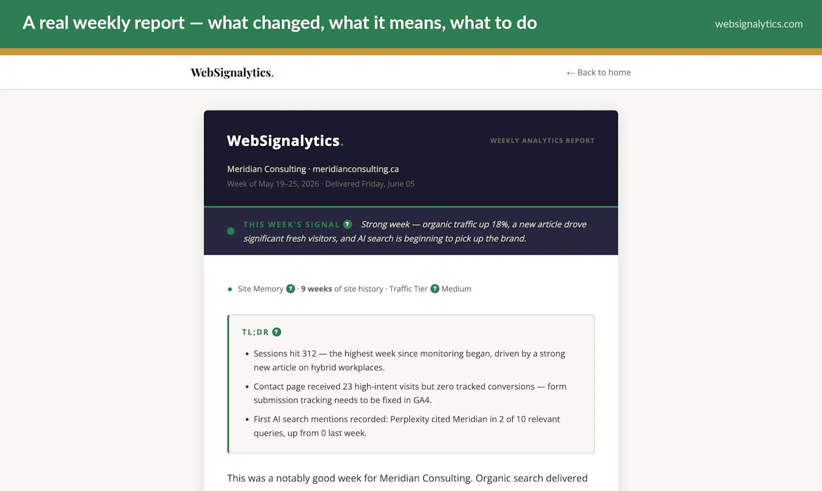 Websignalytics screenshot 1