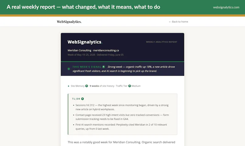 Websignalytics screenshot 1