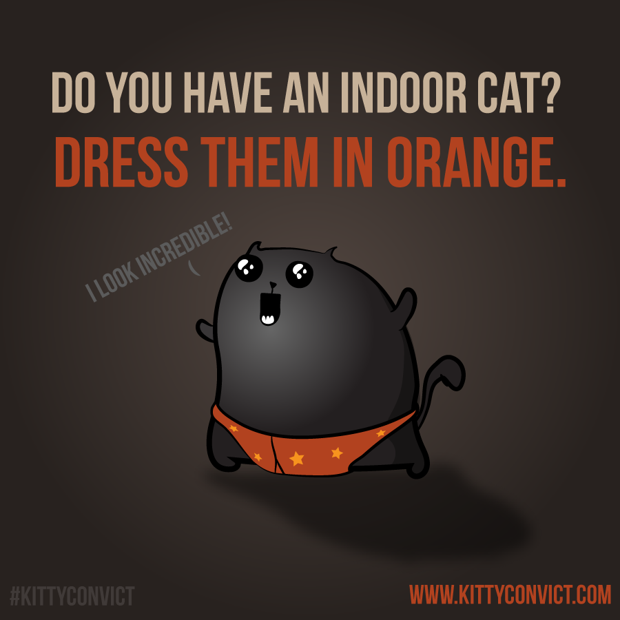 Kitty Convict gallery image