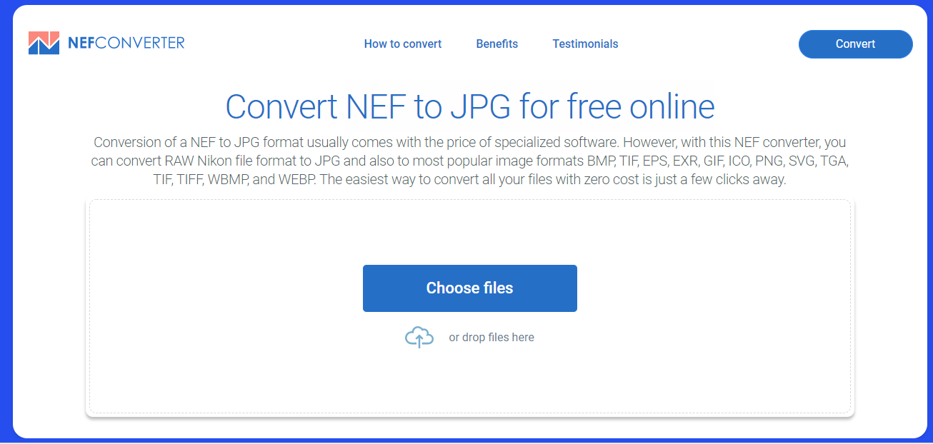 NEF converter gallery image