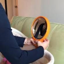 OmieView gallery image