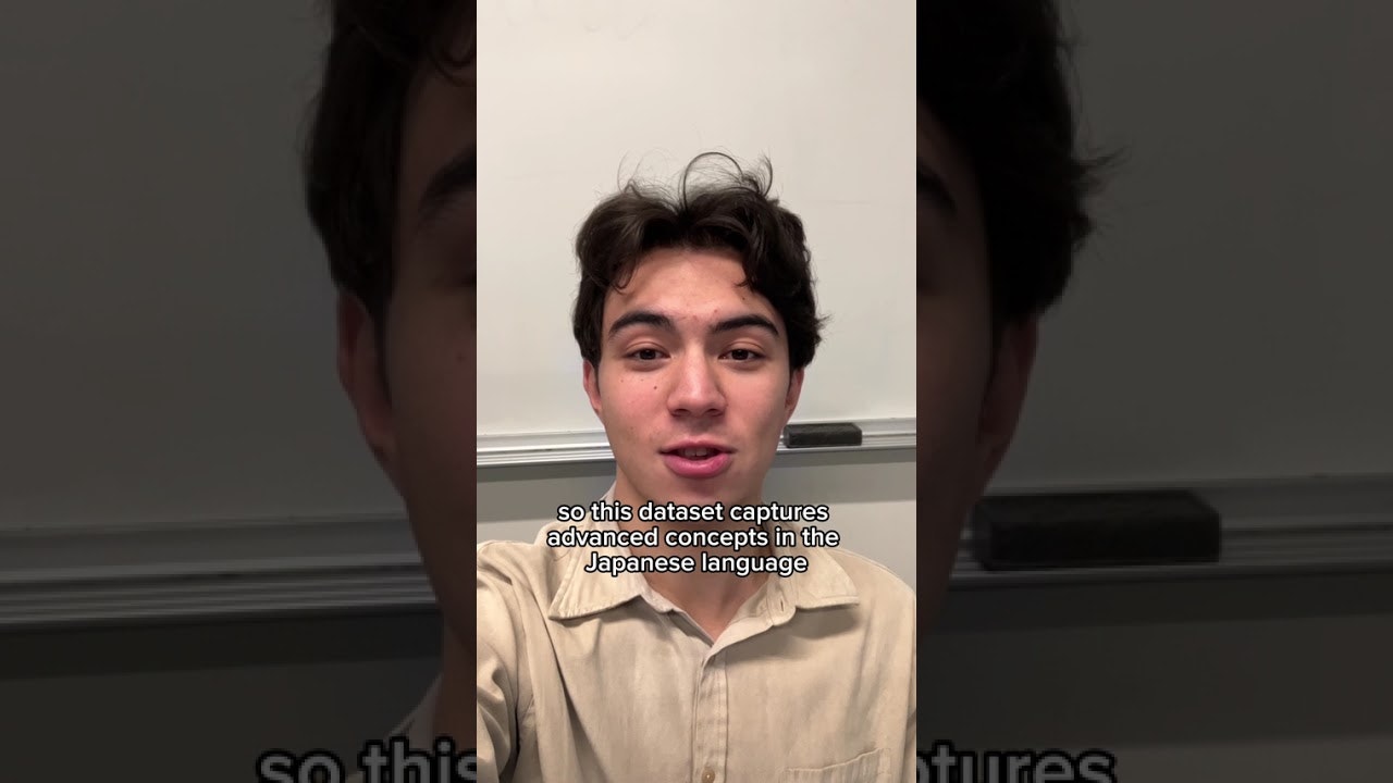 Advanced Japanese Dataset gallery image