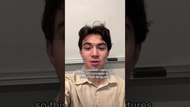 Advanced Japanese Dataset gallery image