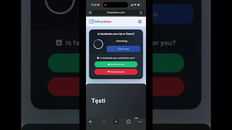 IsItUpDown screenshot 1 (video preview)