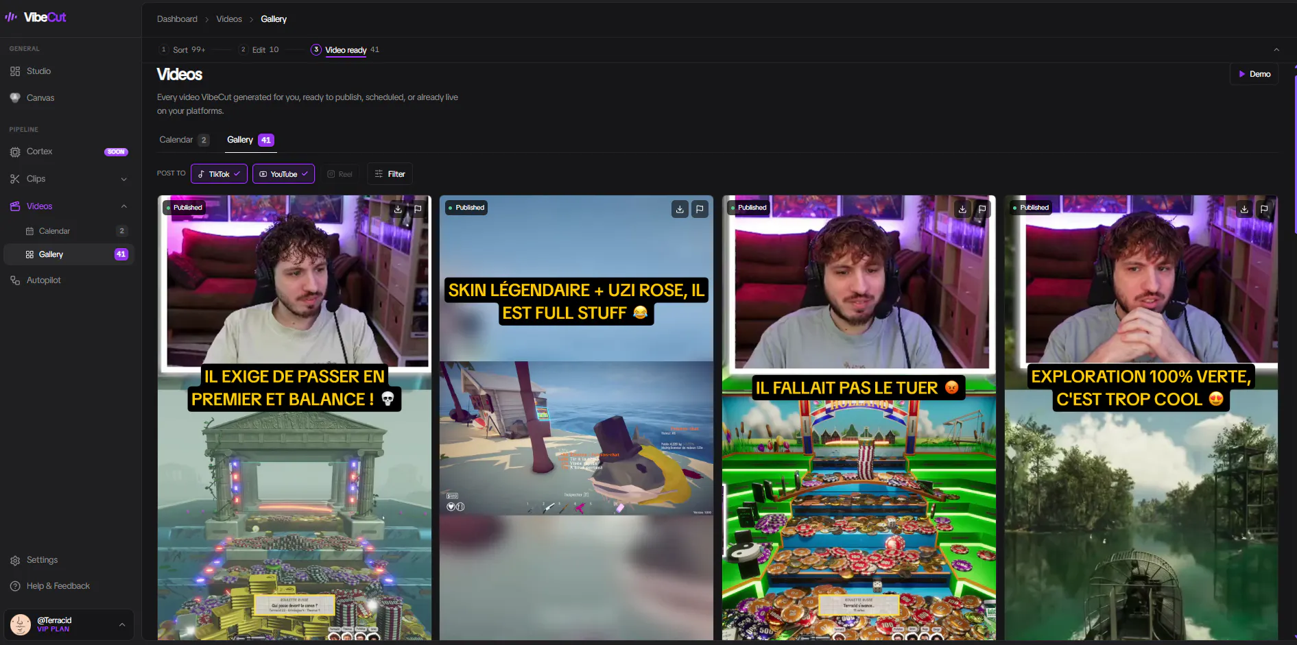VibeCut gallery image