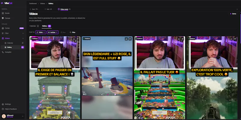 VibeCut screenshot 5