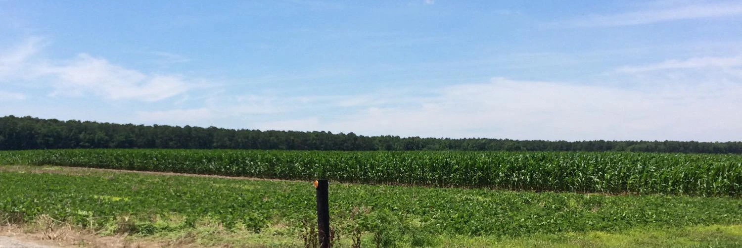 Anthony Thomas cover