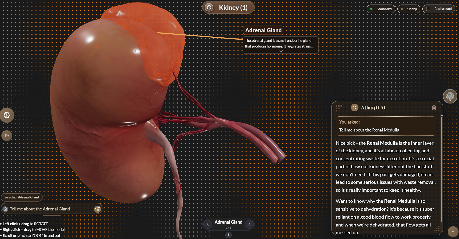 Atlas3D gallery image