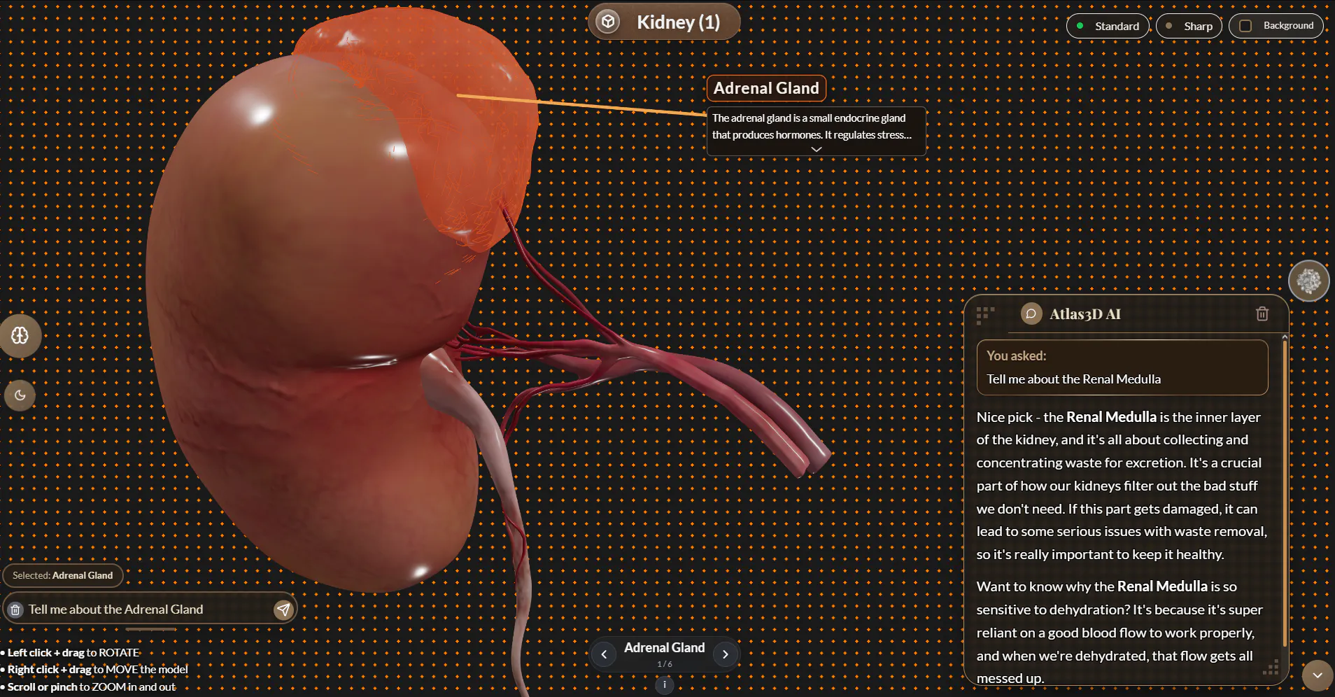 Atlas3D 截图