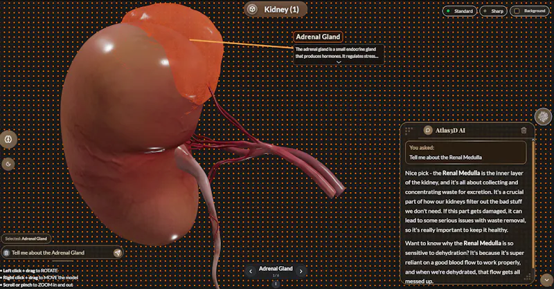 Atlas3D screenshot 2
