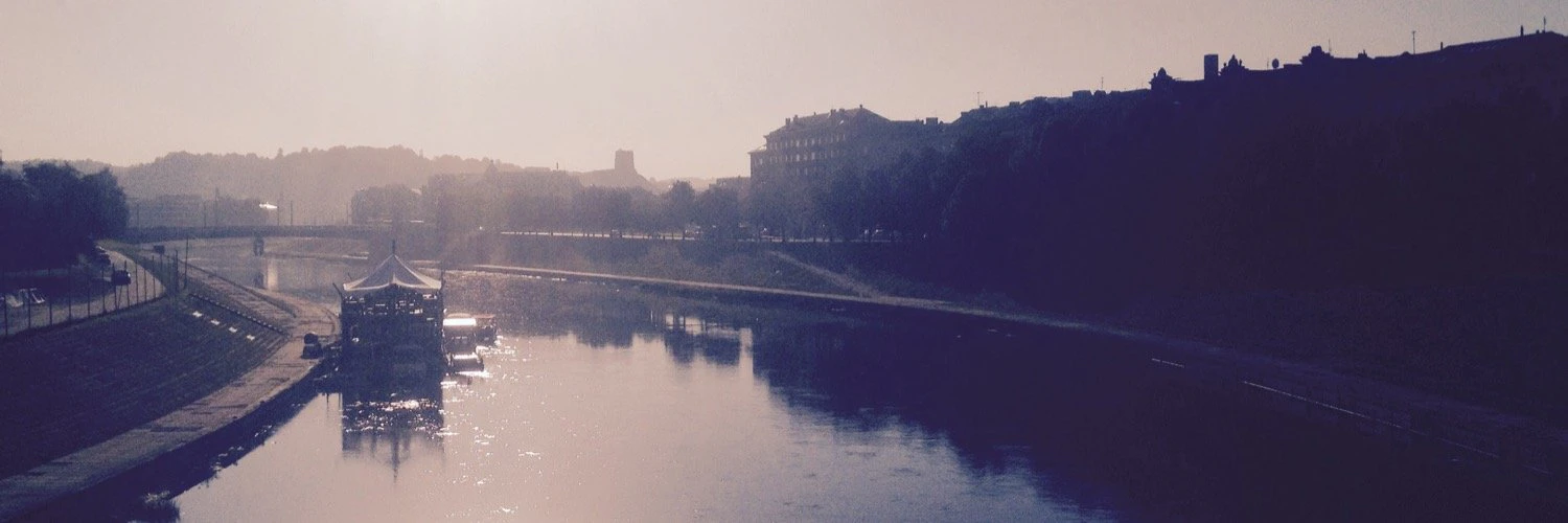 Dovile Miseviciute cover