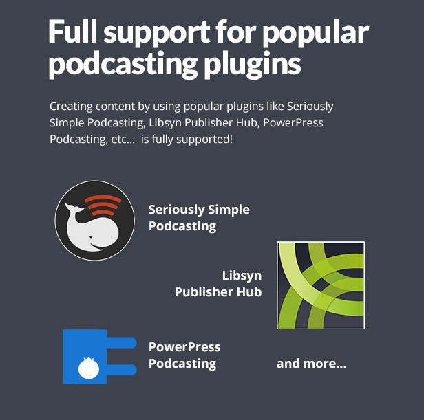 Megaphone- Audio Podcast WordPress Theme media 2