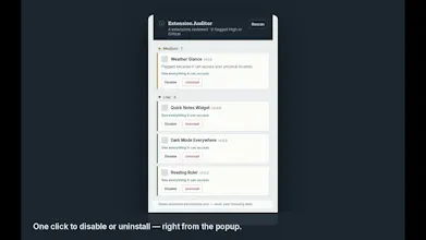 Extension Auditor - google chrome gallery image