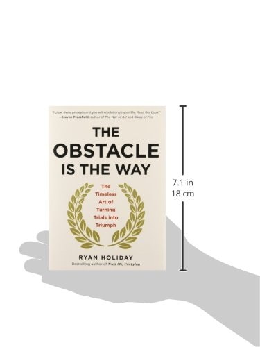 The Obstacle Is the Way gallery image