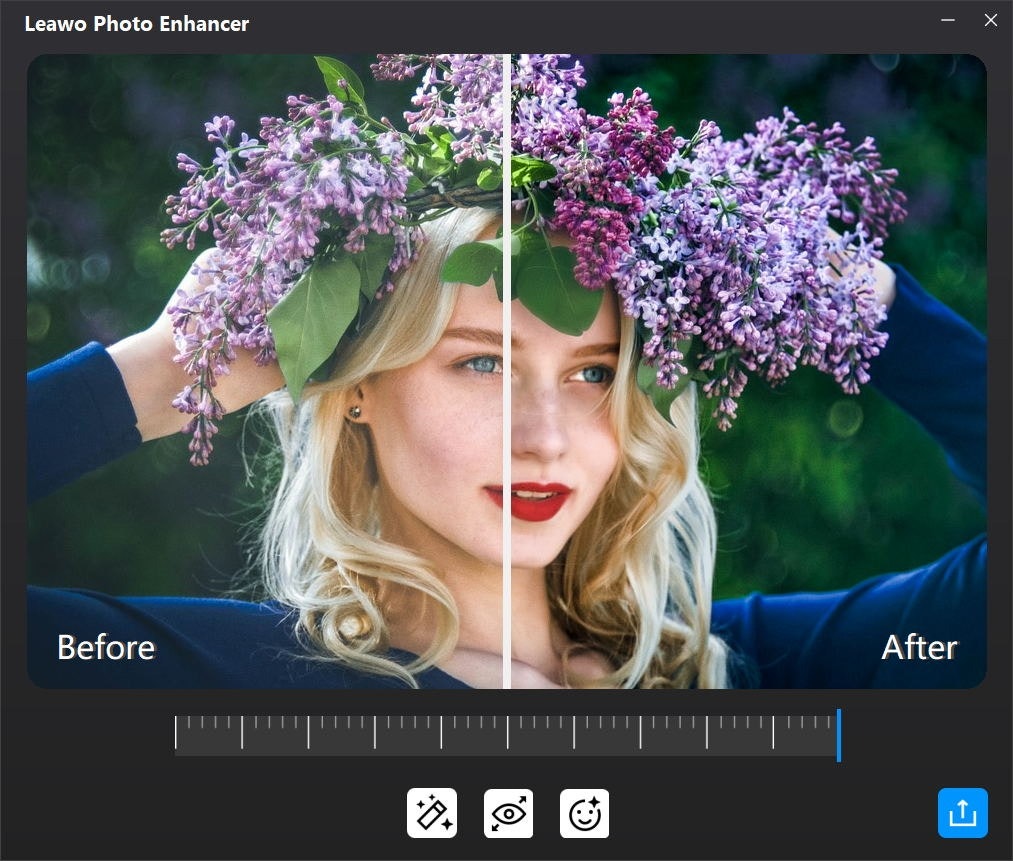 Leawo Photo Enhancerメディア7