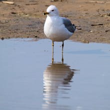 ExploreCams gallery image