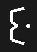 Codebusted