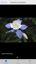 Rocky Mountain NP Field Guide gallery image