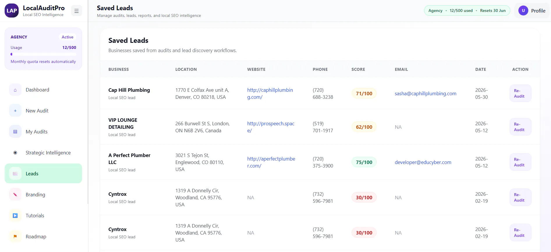 LocalAuditPro gallery image