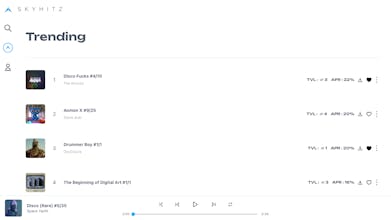 Skyhitz gallery image