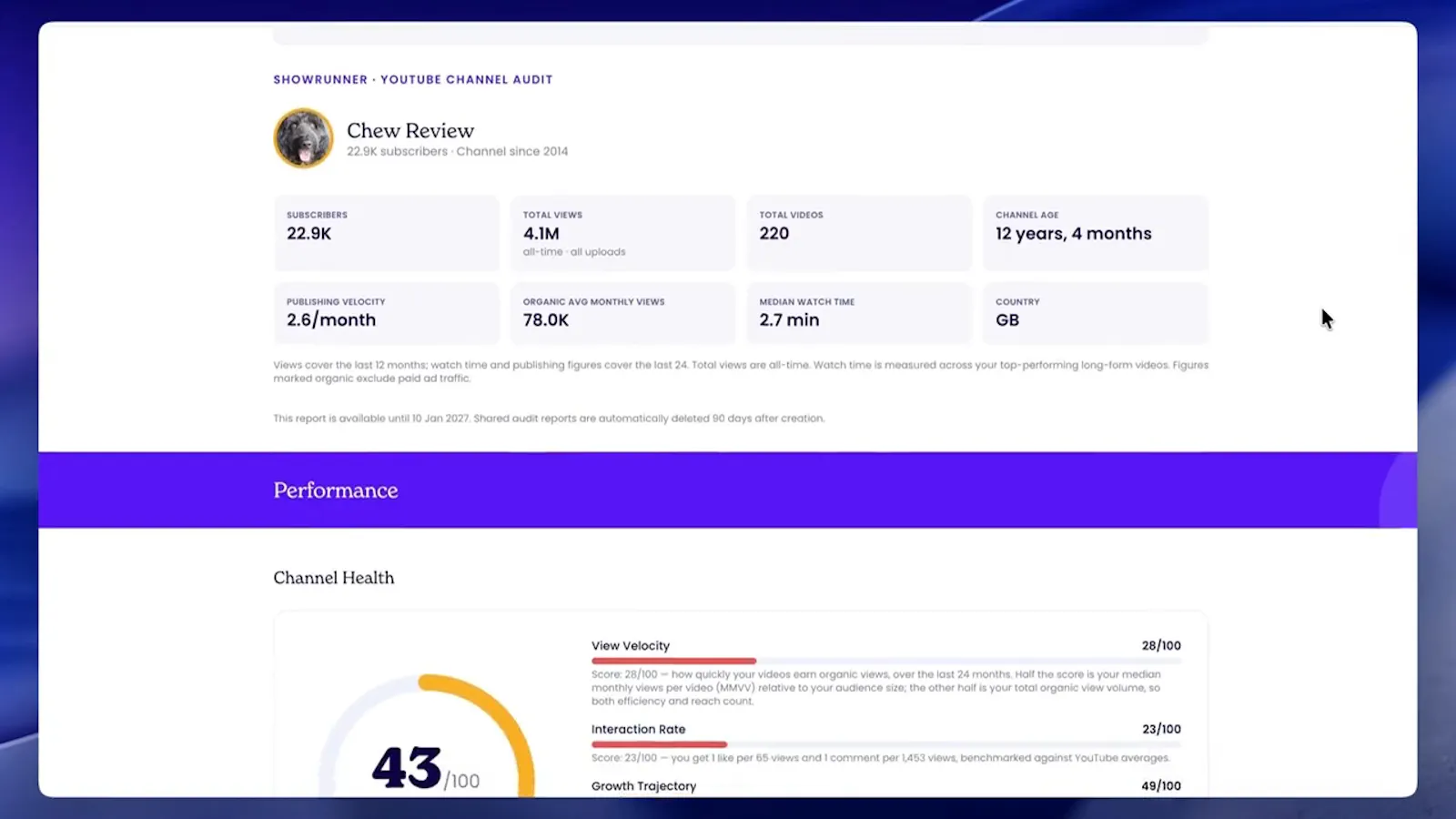 Showrunner YouTube Audit screenshot 2