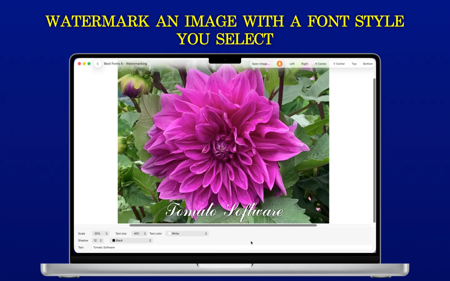 Best Fonts 6 gallery image