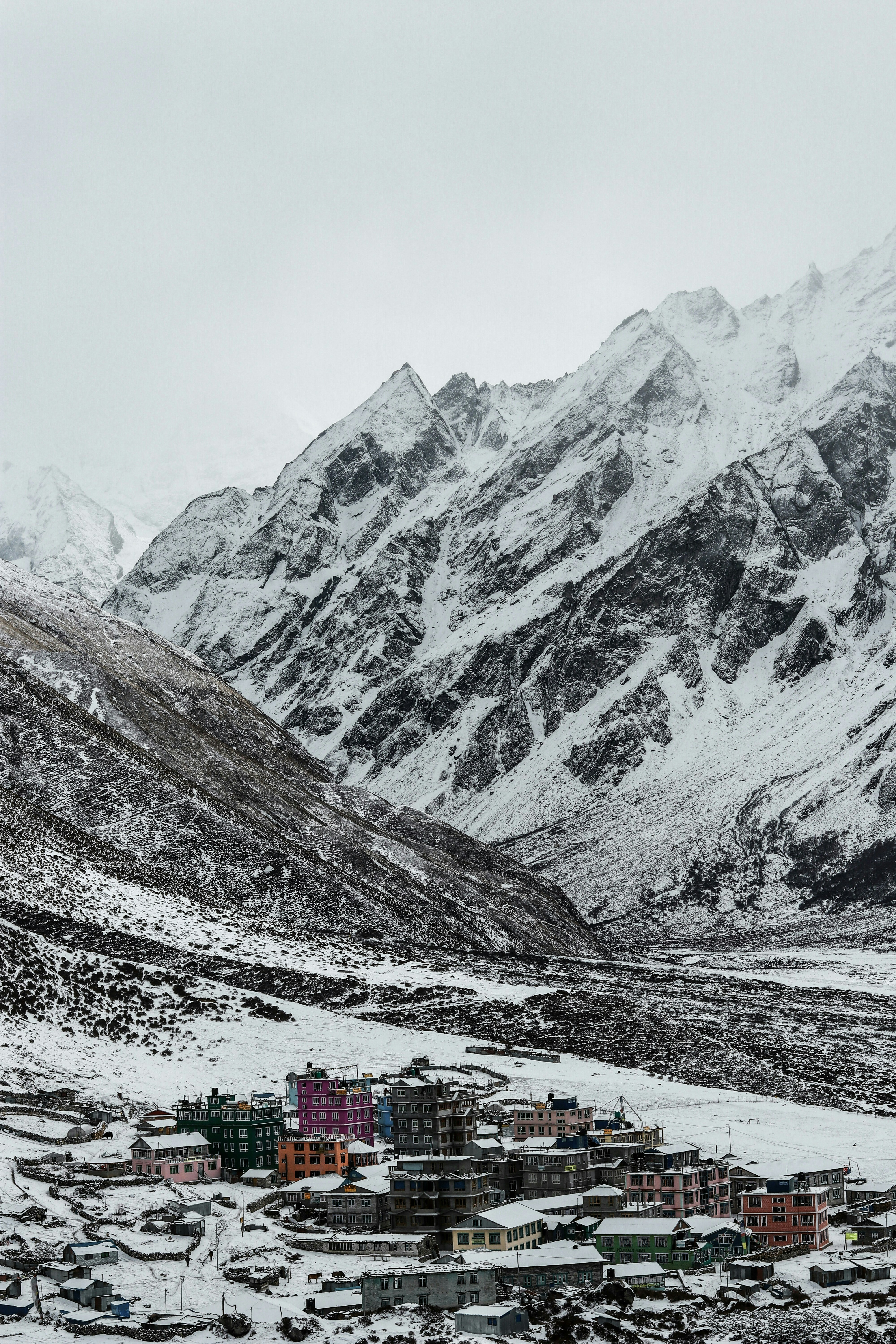 Langtang Valley Trek, 09 Days  gallery image