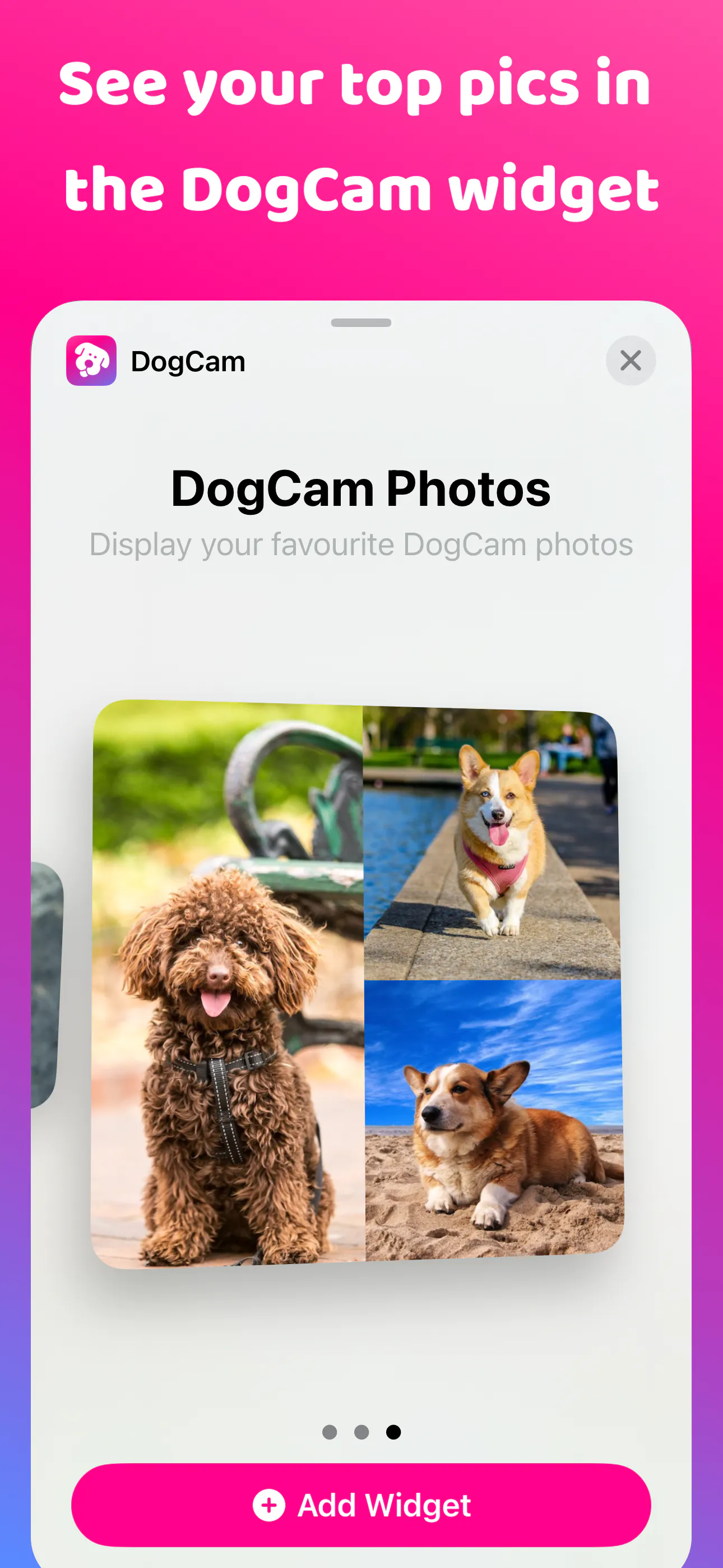 DogCam - Dog Selfie Camera gallery image