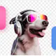 Vecteezy Background Remover