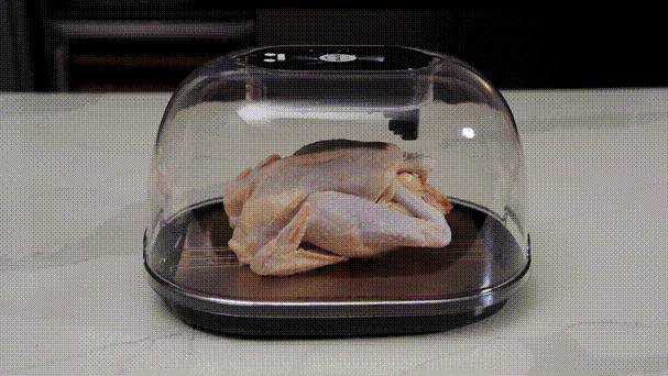 ICEFIRE-Quick Food Defrost8X Faster  gallery image