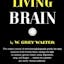 The Living Brain