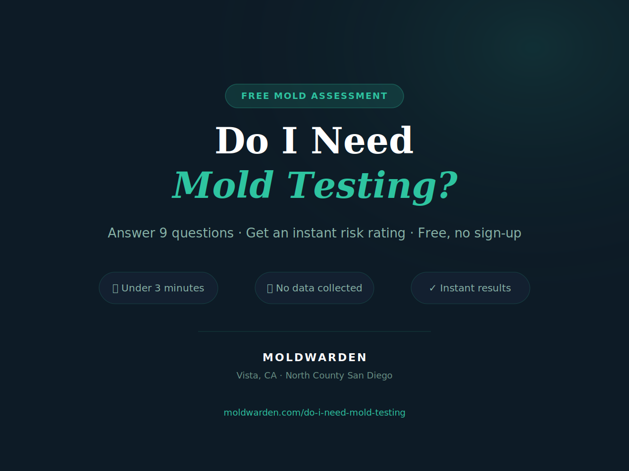 Do I Need Mold Testing? gallery image