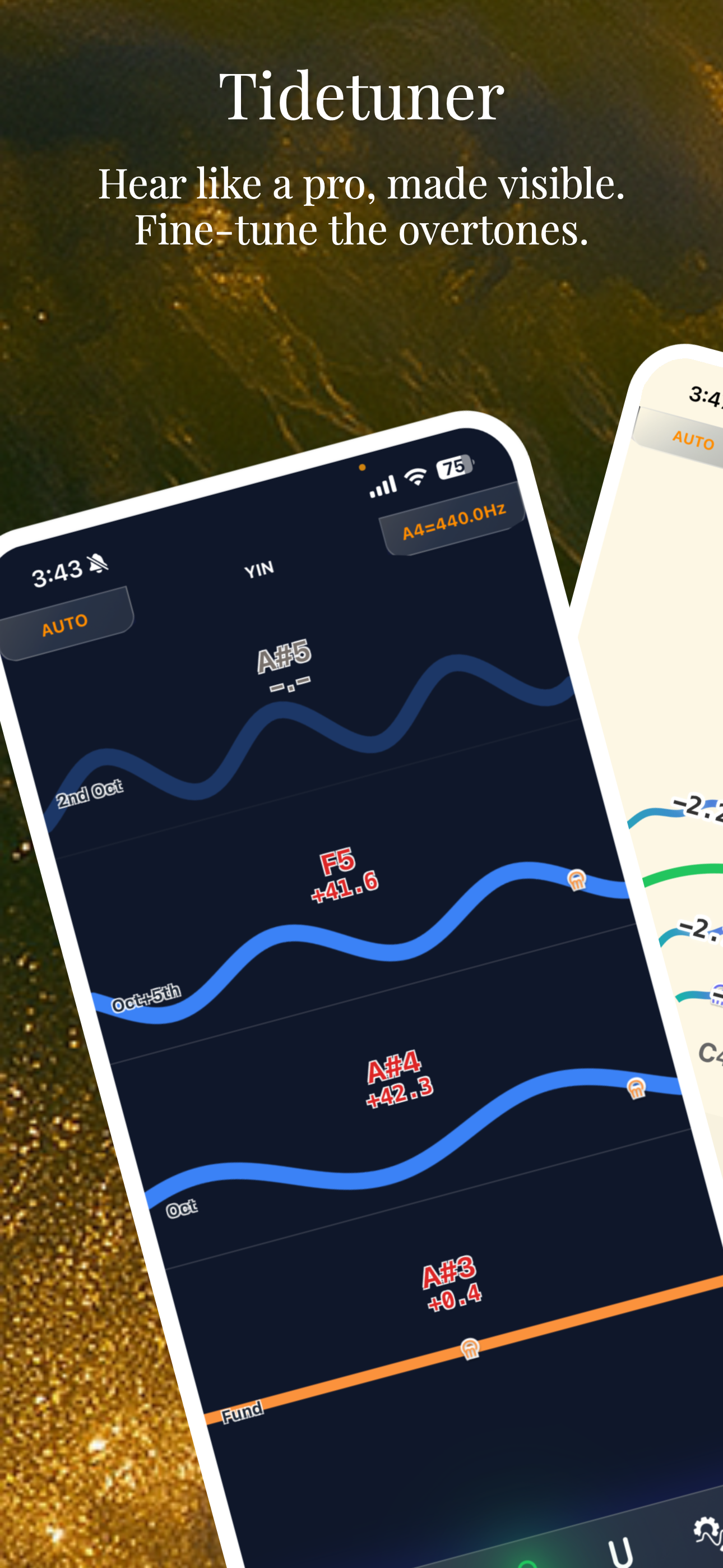 Tidetuner gallery image