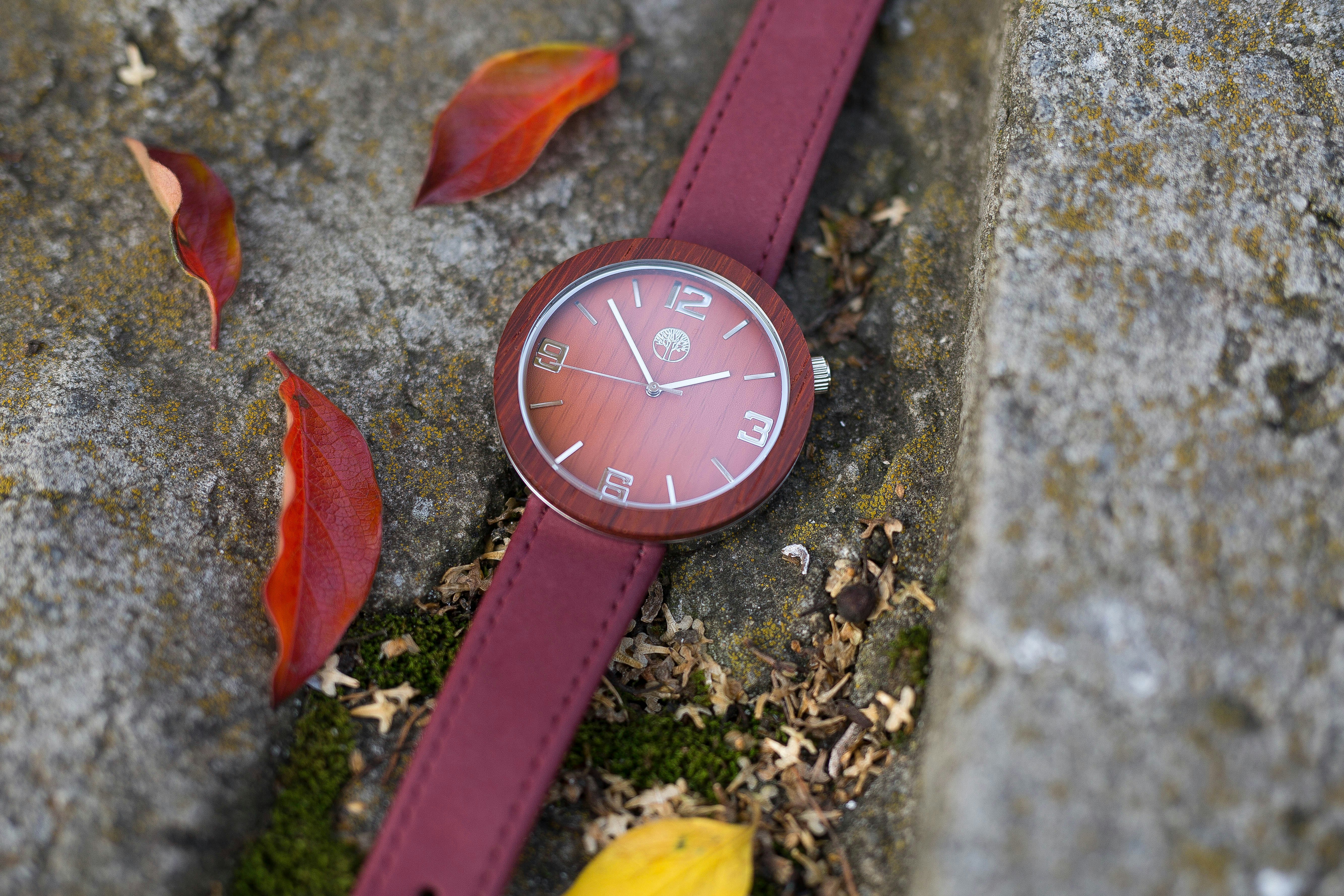 TwinsWatches | Wood and Steel watches gallery image