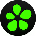 ICQ