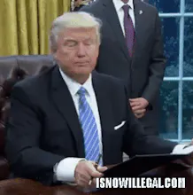 Is Now Illegal gallery image