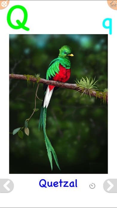 ABC Video Song and Flashcards Animal Preschoolers gallery image