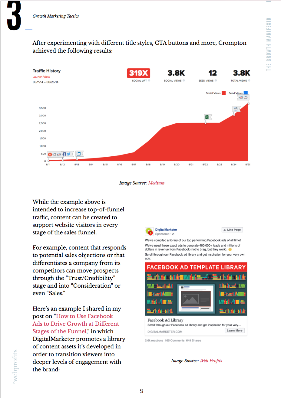 The Growth Manifesto gallery image