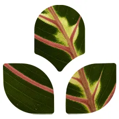 Nabteh.com