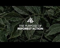 Reforest'action media 1