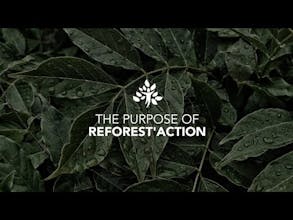 Reforest'action gallery image
